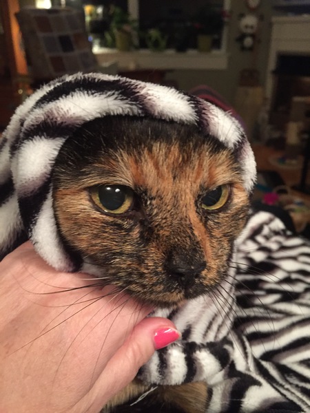 Entry image for Marty. Clicking this image will show a larger photo