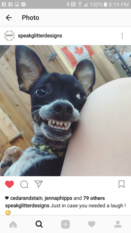 Entry image for Arrlo. Clicking this image will show a larger photo