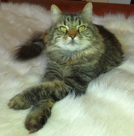 Entry image for Badness. Clicking this image will show a larger photo