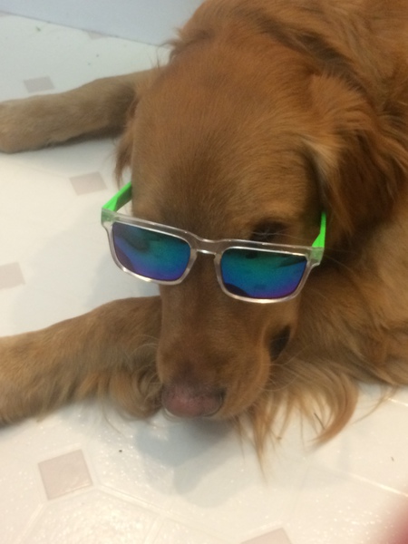 Entry image for Max. Clicking this image will show a larger photo