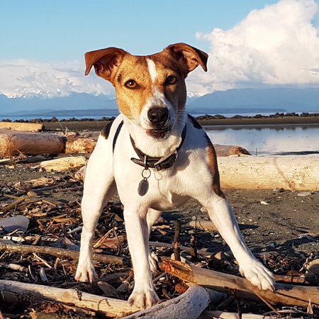 Entry image for Gladys. Clicking this image will show a larger photo