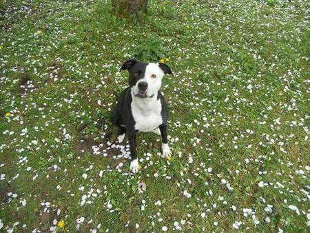 Entry image for Tia. Clicking this image will show a larger photo