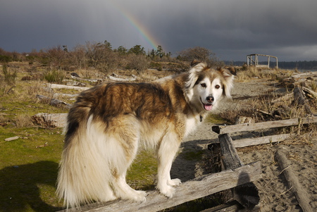 Entry image for LULU. Clicking this image will show a larger photo