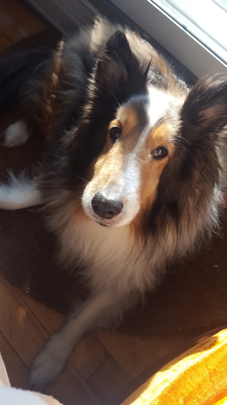 Entry image for Prince. Clicking this image will show a larger photo