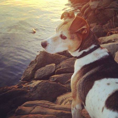 Entry image for Santi. Clicking this image will show a larger photo