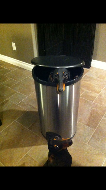 Entry image for Harley and Davidson. Clicking this image will show a larger photo