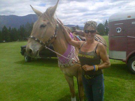 Entry image for Dundass the Wonder Mule. Clicking this image will show a larger photo