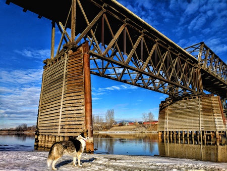 Entry image for Keita. Clicking this image will show a larger photo