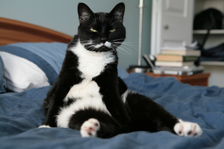 Entry image for Dave. Clicking this image will show a larger photo