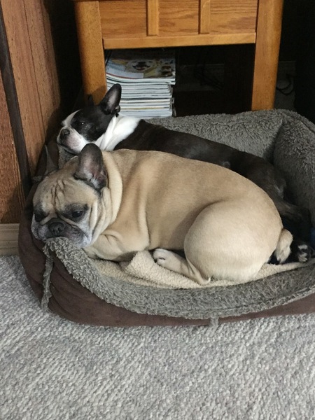 Entry image for Radar & Java. Clicking this image will show a larger photo