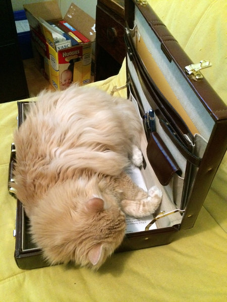 Entry image for Max. Clicking this image will show a larger photo