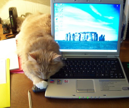 Entry image for Max. Clicking this image will show a larger photo