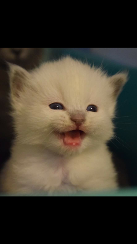 Entry image for Anna. Clicking this image will show a larger photo