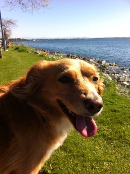 Entry image for Abbey. Clicking this image will show a larger photo