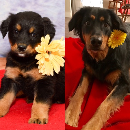 Magnolia Mae "Maggie"
