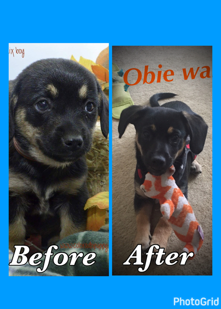 Obie Wan