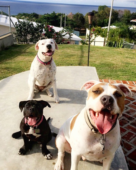 Pablo, Julia and Matilde