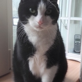 Entry image for ANNA in "I Helped Mommy"