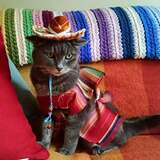 Entry image for TEDDIE in "Ted's Tenth Birthday!"