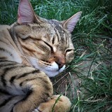 Entry image for DONNY in "Sleeping Donny"