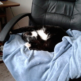 Entry image for TYDE FRANCESCA ROBINSON in "Twisted Sleep"