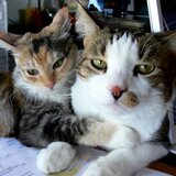 Entry image for CARMEL and CODY in "Make Her Stop Hugging Me"