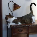 Entry image for CODY in "I Am One With The Lamp"