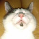 Entry image for MARVIN of the LOONEY TUNES FOSTERS in "Soul Patch"