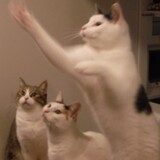 Entry image for JP PATCHES, PENELOPE, and MARVIN in "I Have a Question"