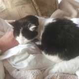 Entry image for KENDRA in "Miss Floof"