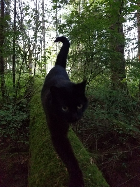 Entry image for JULIA in "Julia". Clicking this image will show a larger photo