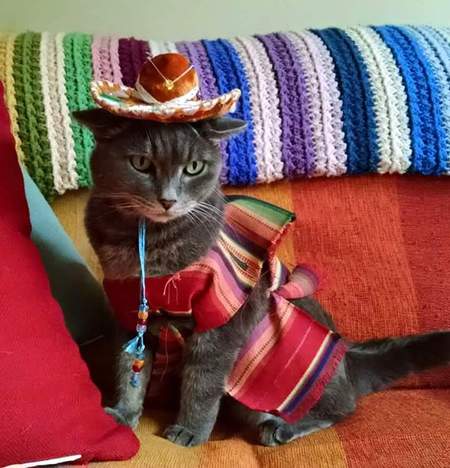 Entry image for TEDDIE in "Ted's Tenth Birthday!". Clicking this image will show a larger photo