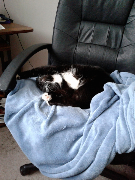 Entry image for TYDE FRANCESCA ROBINSON in "Twisted Sleep". Clicking this image will show a larger photo