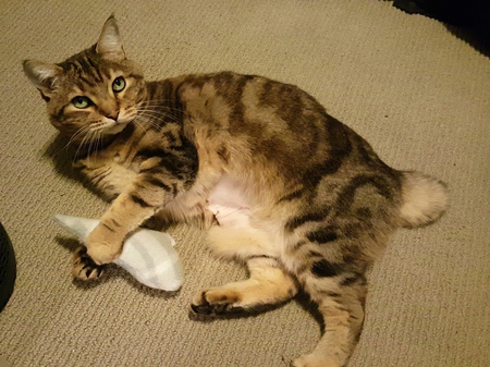 Entry image for PRUDENCE in "Dis is Mine". Clicking this image will show a larger photo