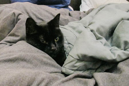 Entry image for MAGGIE in "Cloud Nine". Clicking this image will show a larger photo