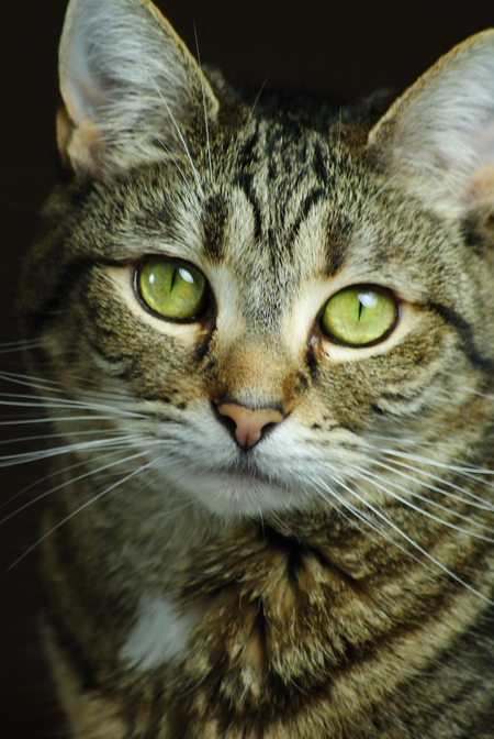 Entry image for MURIEL in "Muriel". Clicking this image will show a larger photo