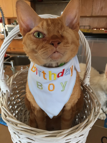 WILLY in "It's My Day"