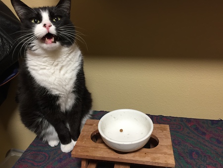 MURRAY in "Fill My Bowl Now!"