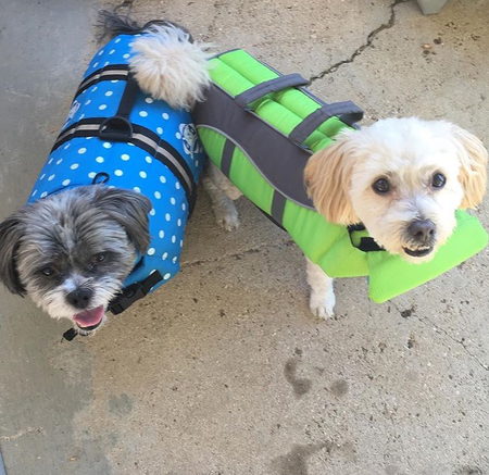 Artie & Howie