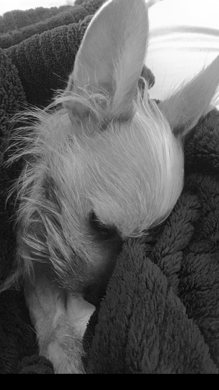 Jax