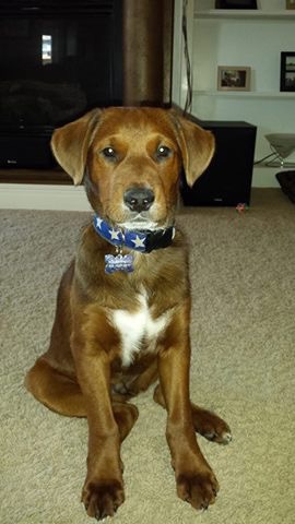 Deacon