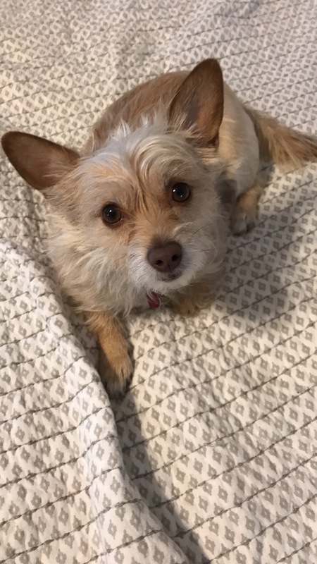 Lexi