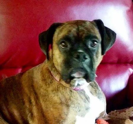 Layla