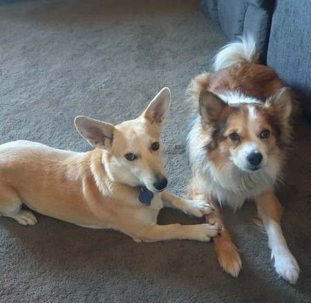 Bonnie and Will