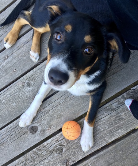 Fiona