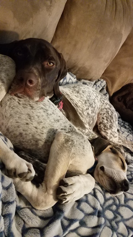 Maggie & Roscoe