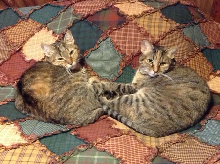 Marcie & Patty
