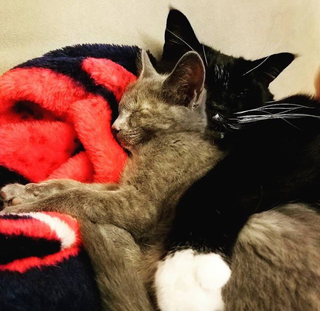 Lilly & Leo