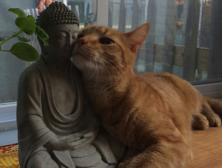 Buddha Kisses, MacDuff