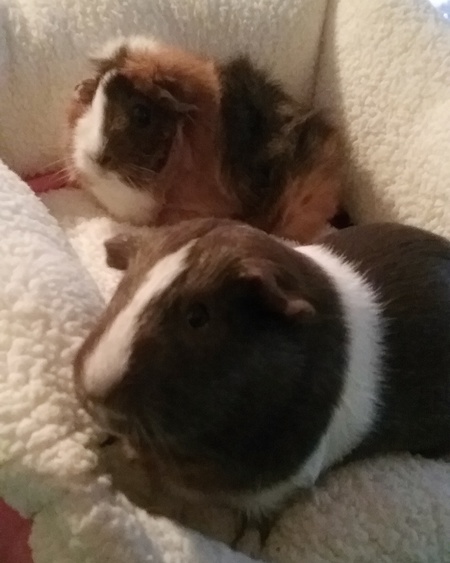 Finn and Phoebe